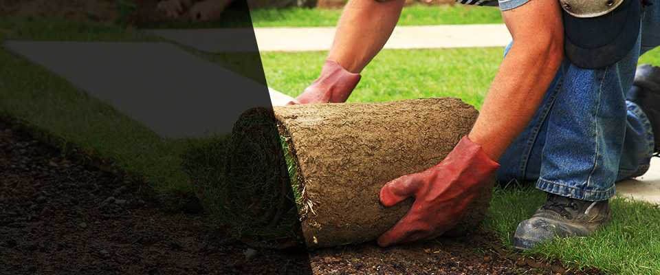 Thornwood Landscapers